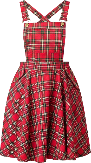 Plus Size Brionne Pinafore Skirt