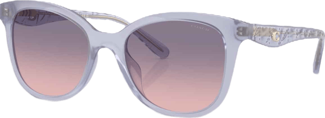 Women's Large Sunglasses, CAD25 HC8419U