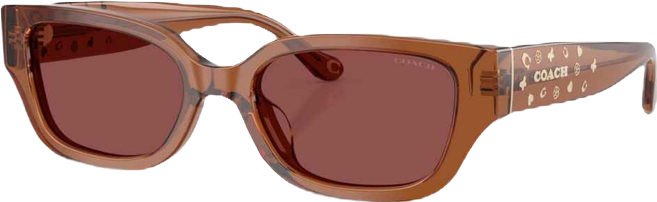 Women's Rectangle Sunglasses, CBZ52 HC8439U