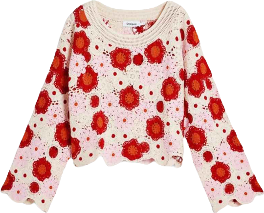 Women's Multicolor crochet top