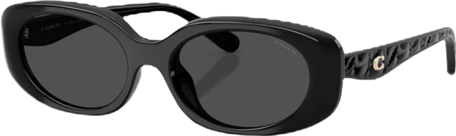 Women's Oval Sunglasses, CBY84 HC8443D