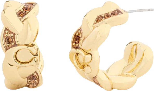 Faux Stone Signature C Braided Hoop Earrings