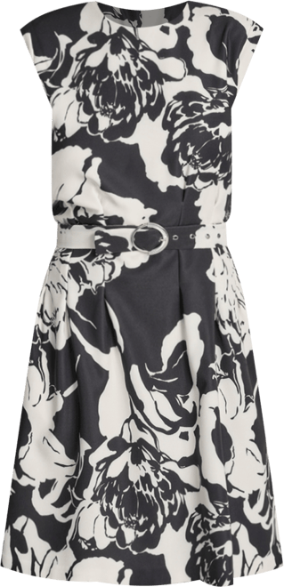 Petite Jewel&nbsp;Neck Cap Sleeve Dress