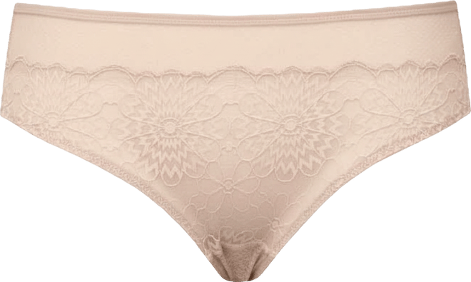 Women's Luxlacy Pretty Lace And Mesh Hipster Panty With Extended Cameo Rose