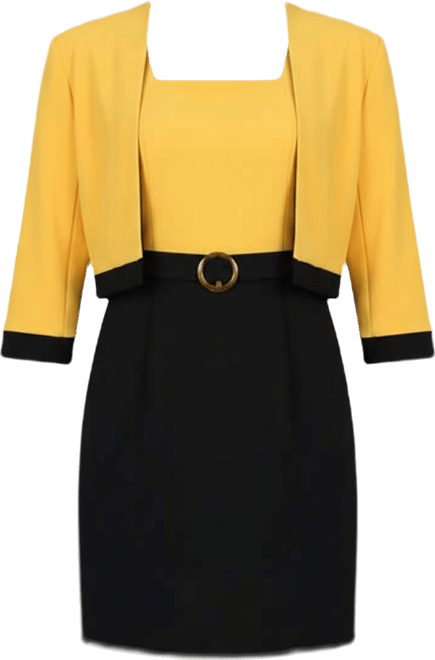 Petite 3/4 Sleeve 2 Piece Colorblocked Dress Set