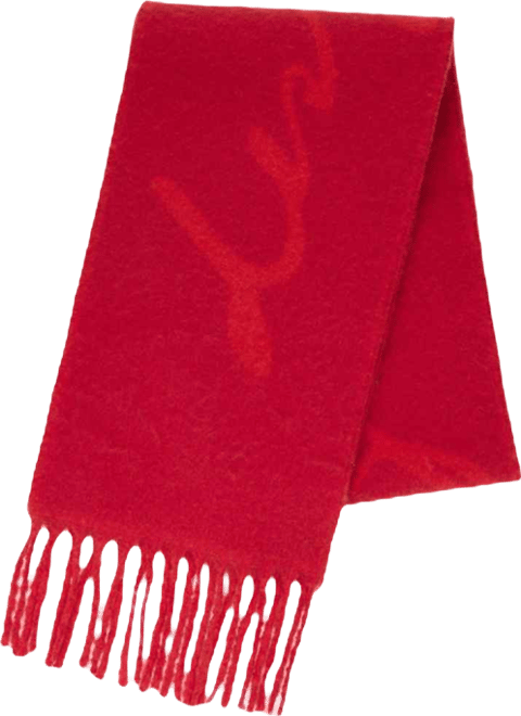 Women's Scarf with fringes