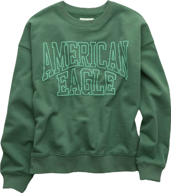 AE Funday Crew Neck Sweatshirt | American Eagle