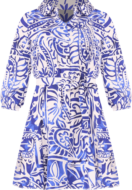Petite Printed Collared Short Shirt Dress