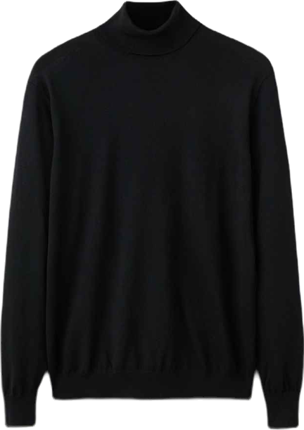 Men's Wool Turtleneck Sweater