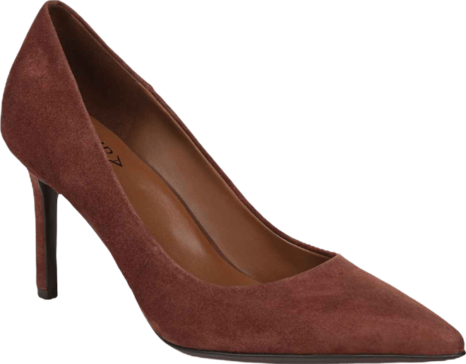 Women's Anna Pointed Toe Dress Pumps