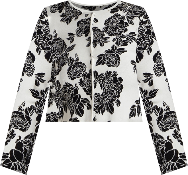 Women's Plus Size Chevron Intarsia Sweater