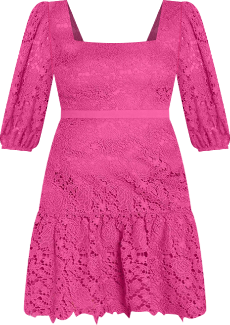 Plus Size Priscilla Lace Dress