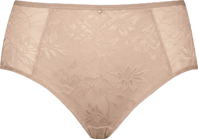 Women's Luxlacy Lace High-Waist Brief With Light Tummy Control And Extra Coverage Panties
