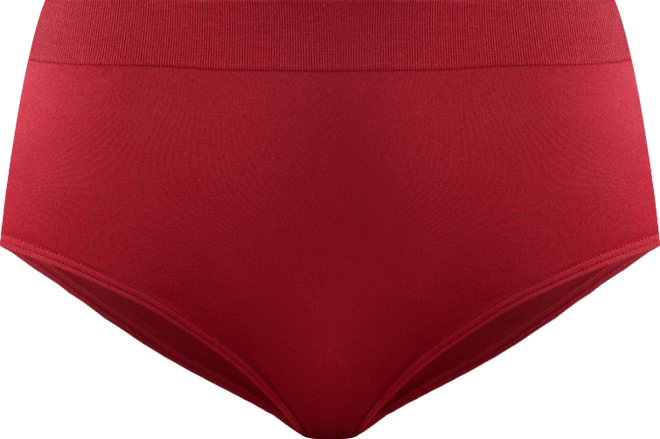 Women's B-Smooth Brief Seamless Underwear 838175