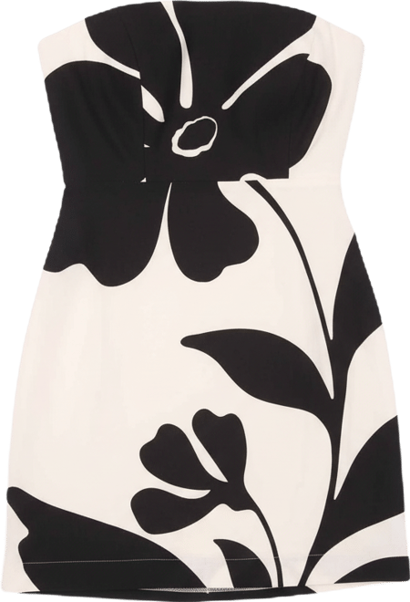 Women's Placed Print Mini Dress