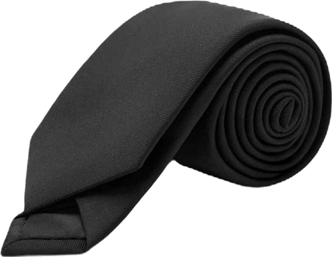 Men's Smooth Micro-Structured Tie