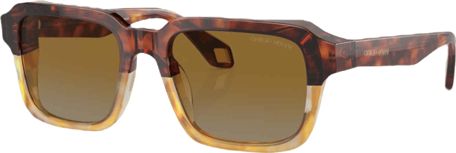 Men's Sunglasses AR8194U
