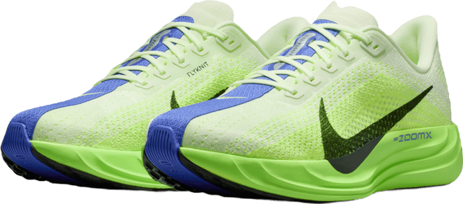 Nike Pegasus Plus Men's Road Running Shoes