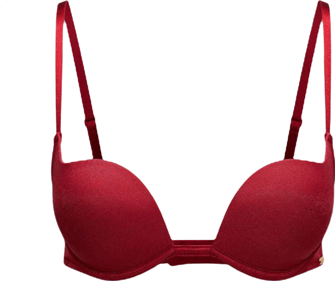 Women's Gianina Push Up Plunge Bra