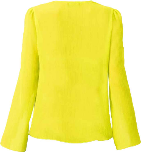 Women's Long Sleeve V-Neck Tunic Tops