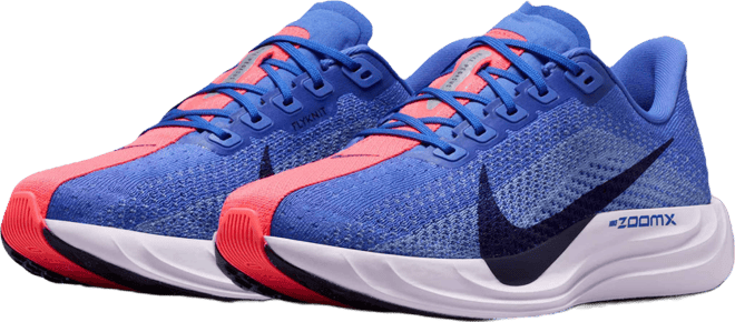 Nike Pegasus Plus Women's Road Running Shoes