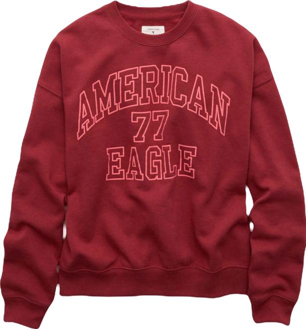 AE Funday Crew Neck Sweatshirt | American Eagle