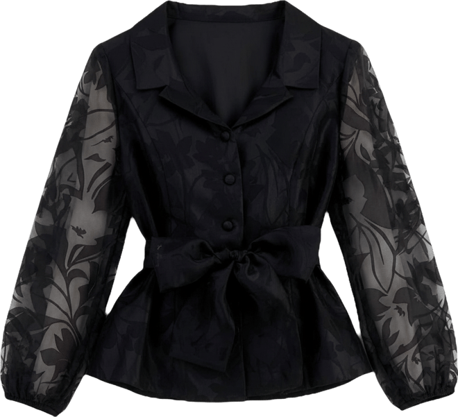 Women's Organza Collared Blouse