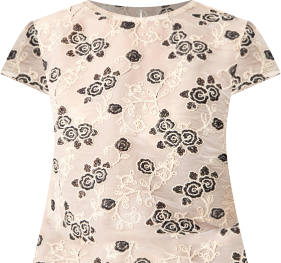 Women's Floral Embroidered See-Though Crop Top