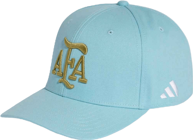 Men's and Women's Light Blue Argentina National Team Fifa x World Cup Team Snapback Hat
