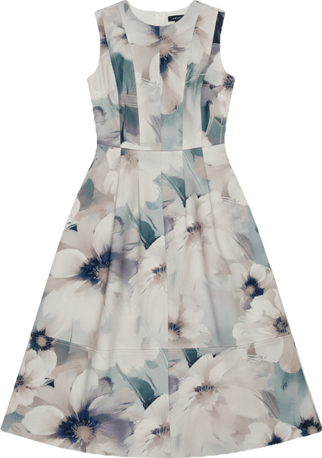 Women's Sleeveless Floral Fit and Flare Midi Dress