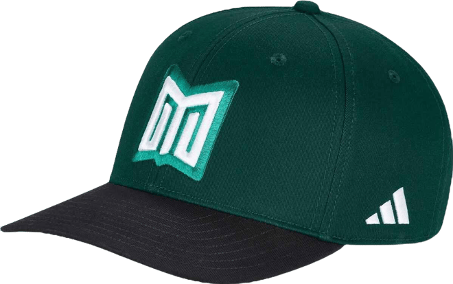 Men's and Women's Green Mexico National Team Fifa x World Cup Team Snapback Hat