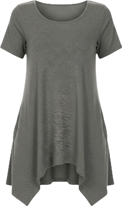 Women's Short Sleeve Swing Tunic Top