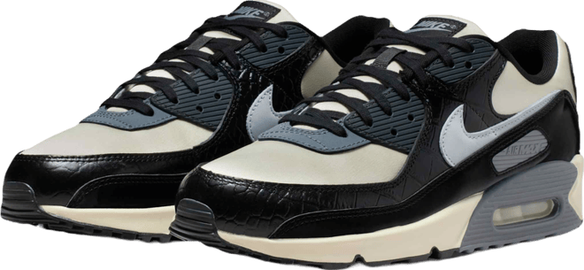 Nike Air Max 90 Men's Shoes