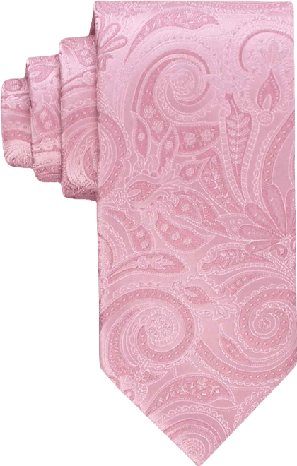 Men's Penelope Paisley Tie