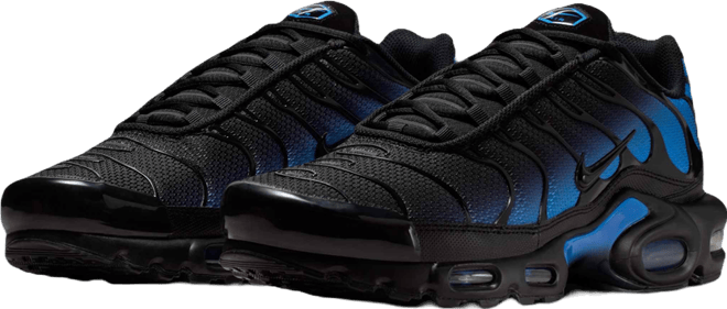 Nike Air Max Plus Men's Shoes