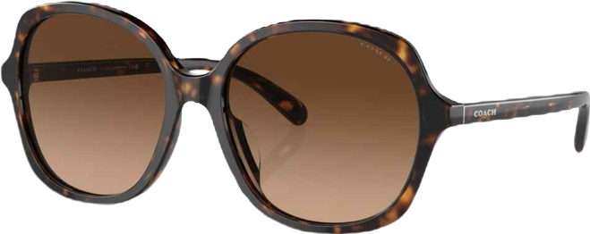 Women's Square Sunglasses, CH557 HC8360U