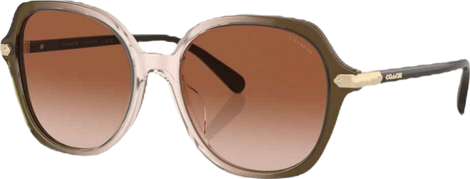 Women's Round Sunglasses, CL925 HC8377U