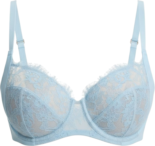 Women's Entice Lace Full Coverage Underwire Bra
