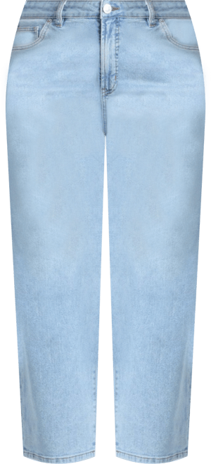 Women's Plus Size Embroidered Naomi Straight Leg Jean