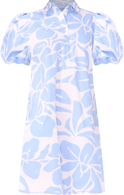 Women's Button Collared Mini Dress