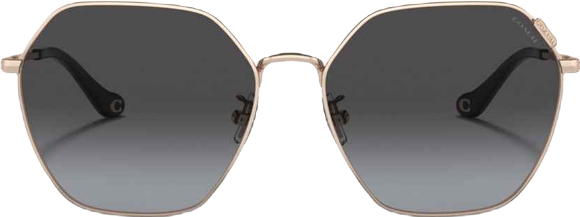 Women's Geometric Sunglasses, C7998 HC7132