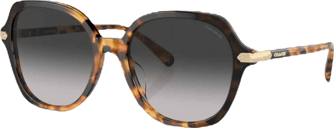 Women's Round Sunglasses, CL925 HC8377U