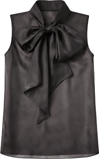 Women's Organza Sleeveless Top