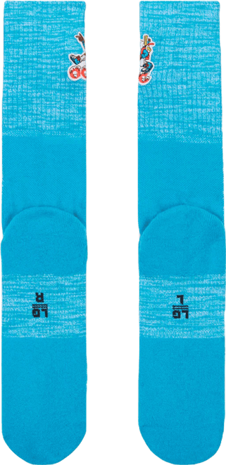 Nike ACG USA Everyday Cushioned Crew Socks (1 Pair)