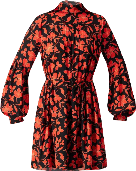 Women's Mini Dress with Red Floral Print and Drawstring Waist