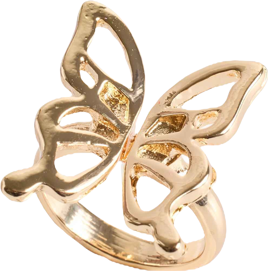 Criss-Cross Metal Trim Slide (WW)