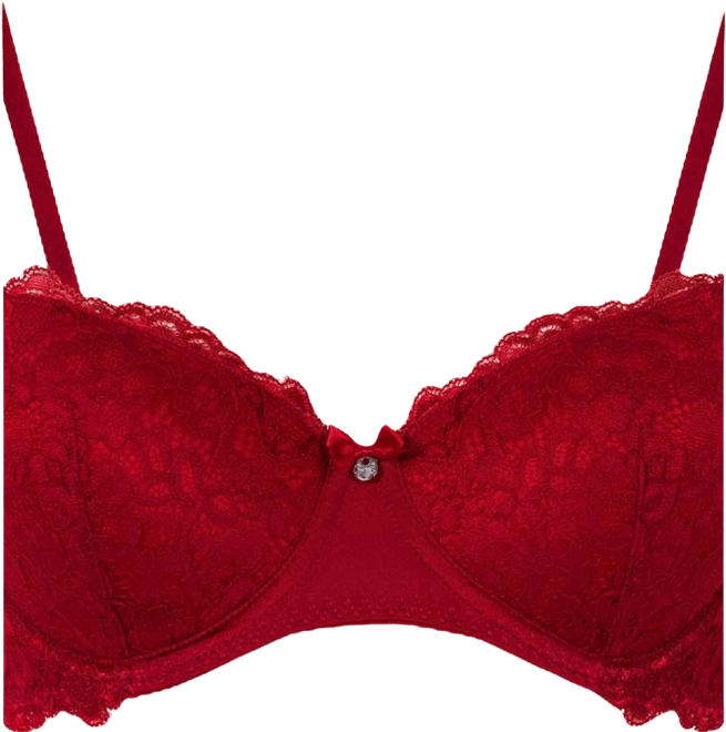 Women's Marine Padded Underwired Bra