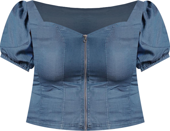 Plus Size Zip Front Puff Sleeves Tencel Corset Top