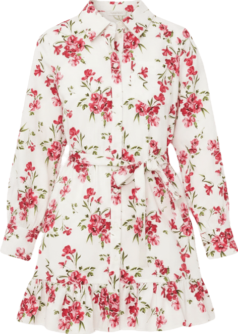 Women's Collared Neck Ruffle Hem Mini Dress