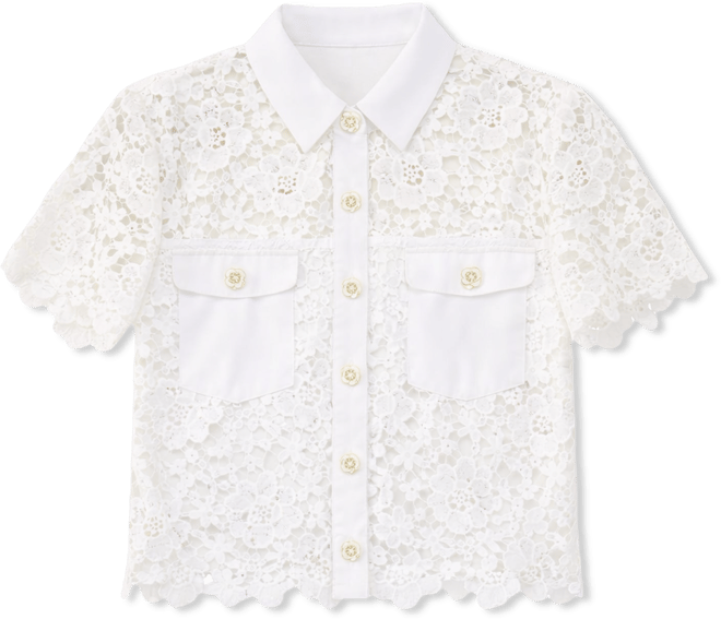 Women's Collared Neck Short-Sleeve Top